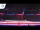 Vladyslav HRYKO (UKR) - 2018 Artistic Gymnastics Europeans, qualification high bar