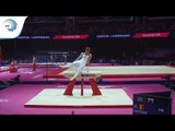 Maxime GENTGES (BEL) - 2018 Artistic Gymnastics Europeans, qualification pommel horse