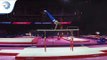 Axel AUGIS (FRA) - 2018 Artistic Gymnastics Europeans, qualification parallel bars