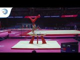 Ferhat ARICAN (TUR) - 2018 Artistic Gymnastics Europeans, qualification pommel horse
