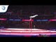 Maxime GENTGES (BEL) - 2018 Artistic Gymnastics Europeans, qualification high bar
