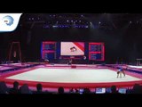 Artur DAVTYAN (ARM) - 2018 Artistic Gymnastics Europeans, qualification floor