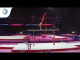 Ferhat ARICAN (TUR) - 2018 Artistic Gymnastics Europeans, qualification parallel bars