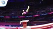 Asia D'AMATO (ITA) - 2018 Artistic Gymnastics European Champion, junior vault