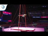 Andrei Vasile MUNTEAN (ROU) - 2018 Artistic Gymnastics Europeans, rings final