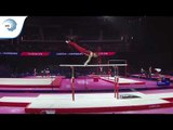 Aleksandrs LITVINOVS (LAT) - 2018 Artistic Gymnastics Europeans, junior qualification parallel bars