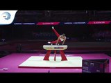 Max WHITLOCK (GBR) - 2018 Artistic Gymnastics Europeans, pommel horse final