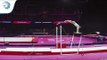 Emelie PETZ (GER) - 2018 Artistic Gymnastics Europeans, junior qualification bars