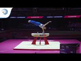 Nikolay KUKSENKOV (RUS) - 2018 Artistic Gymnastics Europeans, pommel horse final