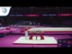 Andrin FREY (SUI) - 2018 Artistic Gymnastics Europeans, junior qualification pommel horse