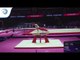 Levan SKHILADZE (GEO) - 2018 Artistic Gymnastics Europeans, junior qualification pommel horse
