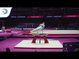 Ward CLAEYS (BEL) - 2018 Artistic Gymnastics Europeans, junior qualification pommel horse
