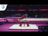 Zhora SMBATYAN (ARM) - 2018 Artistic Gymnastics Europeans, junior qualification pommel horse