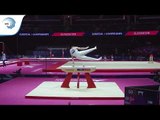Fredrik AAS (NOR) - 2018 Artistic Gymnastics Europeans, junior qualification pommel horse