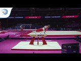 Elias MAYER (AUT) - 2018 Artistic Gymnastics Europeans, junior qualification pommel horse