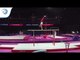 Theodor HOEFER (AUT) - 2018 Artistic Gymnastics Europeans, junior qualification parallel bars