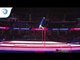 Agust DAVIDSSON (ISL) - 2018 Artistic Gymnastics Europeans, junior qualification horizontal bar