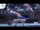 Cyril TOMMASONE (FRA) - 2019 Artistic Gymnastics European silver medallist, pommel horse