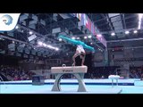 Ferhat ARICAN (TUR) - 2019 Artistic Gymnastics Europeans, pommel horse final