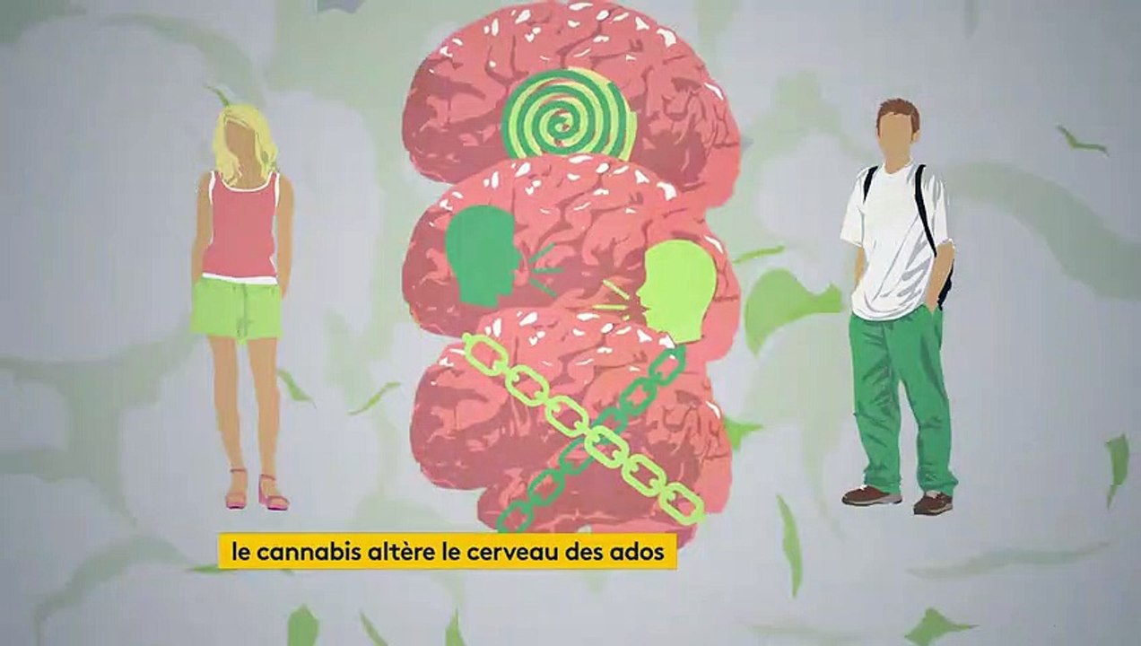 Cannabis : des dommages irréversibles sur le cerveau des adolescents
