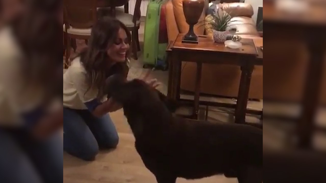 Lara Álvarez se reencuentra con alguien muy especial