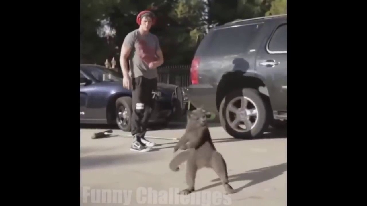 Try Not To Laugh Challenge