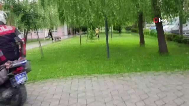 Polis ile köpek hırsızları arasında kovalamaca