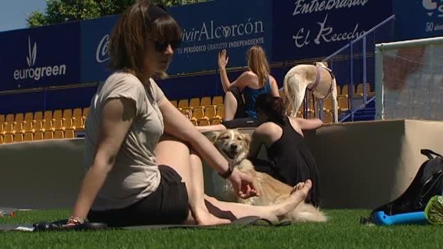 Llega el Doga, el yoga con perro