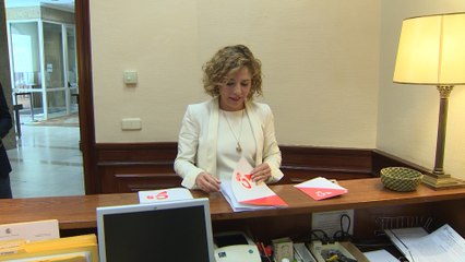 Cs registra ley para la conciliación familiar