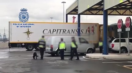 Refuerzan puertos de Bilbao y Santander para frenar redes de inmigración irregular