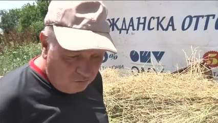 Final feliz para Penka, la vaca búlgara que se fugó y regresó a la Unión Europea