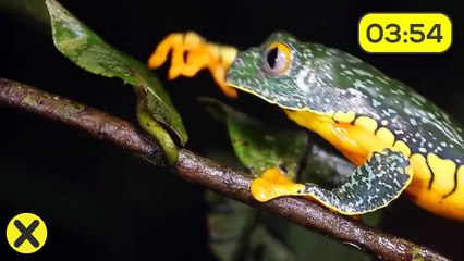 30 Cosas que no sabías hace 5 Minutos!