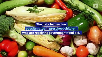Obesity Rate of US Preschoolers Is Dropping, Says Study