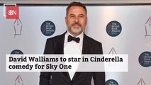 David Walliams Joins New Comedy