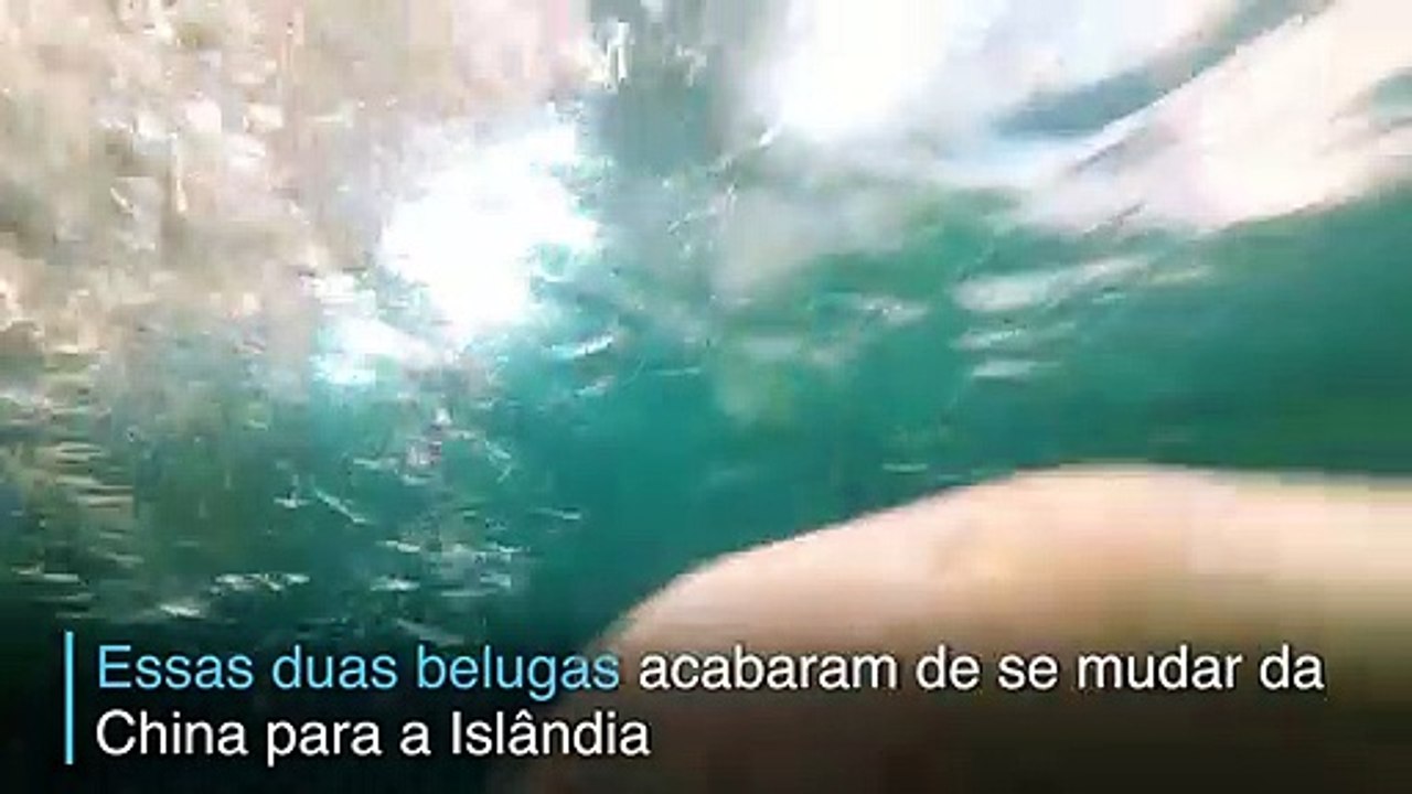 O caminho da liberdade