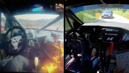 Lightning Fast Reflexes Save Lives