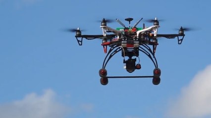 Drones Are Being Used To Protect Endangered Animals