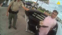 La Policía de Florida arresta a un ladrón de coches por llevar un mono capuchino sin papeles