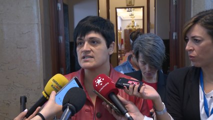 Bildu arremete contra Grande-Marlaska