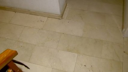 La menor asesinada en Vilanova fue apuñalada después de morir por asfixia