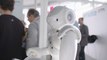 El 80% de las compañías utilizará inteligencia artificial en 2020