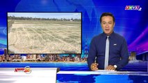 THVL | Nông dân Nghệ An đối mặt nguy cơ mất mùa do nắng hạn