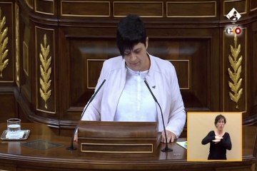 Bildu no confía en Pedro Sánchez como presidente-. Firma: VTB/PA