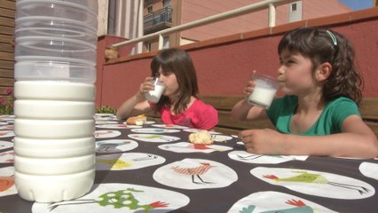 Desciende casi un 30% el consumo de leche en España en los últimos años