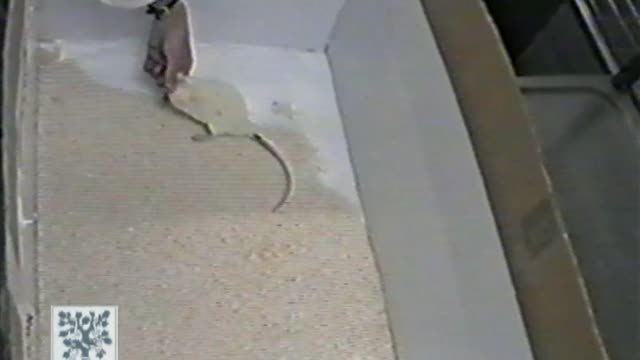 Detenidas 2 personas por estafar más de millón de euros con un falso tratamiento para tratar lesiones medulares