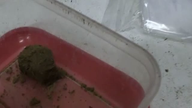 Liberada una mujer en Barcelona que sufría abusos sexuales por sus secuestradores