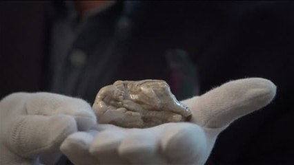 La perla de agua dulce más grande del mundo