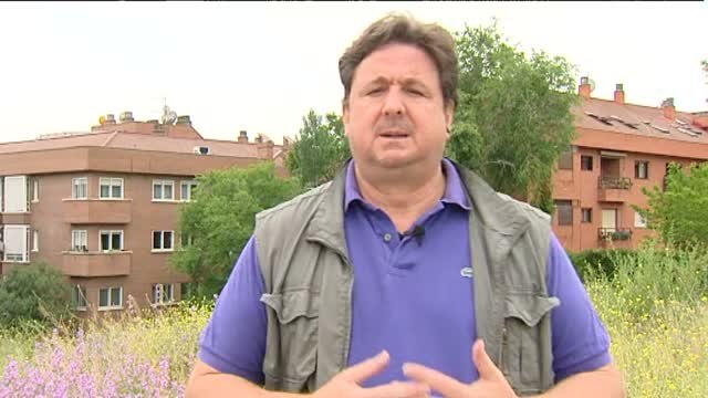 José Luis Peñas: Las verdaderas mentes pensantes y jefes de la Gürtel por ahora se han salvado de la quema