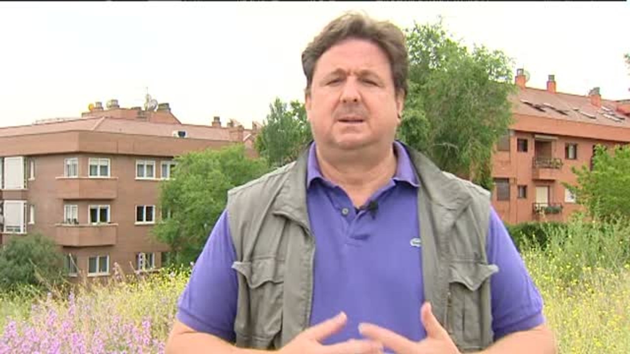 José Luis Peñas: "Las verdaderas mentes pensantes y jefes de la Gürtel por ahora se han salvado de la quema"