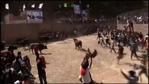 Corridas de toros dejan varios heridos durante una festividad en Perú